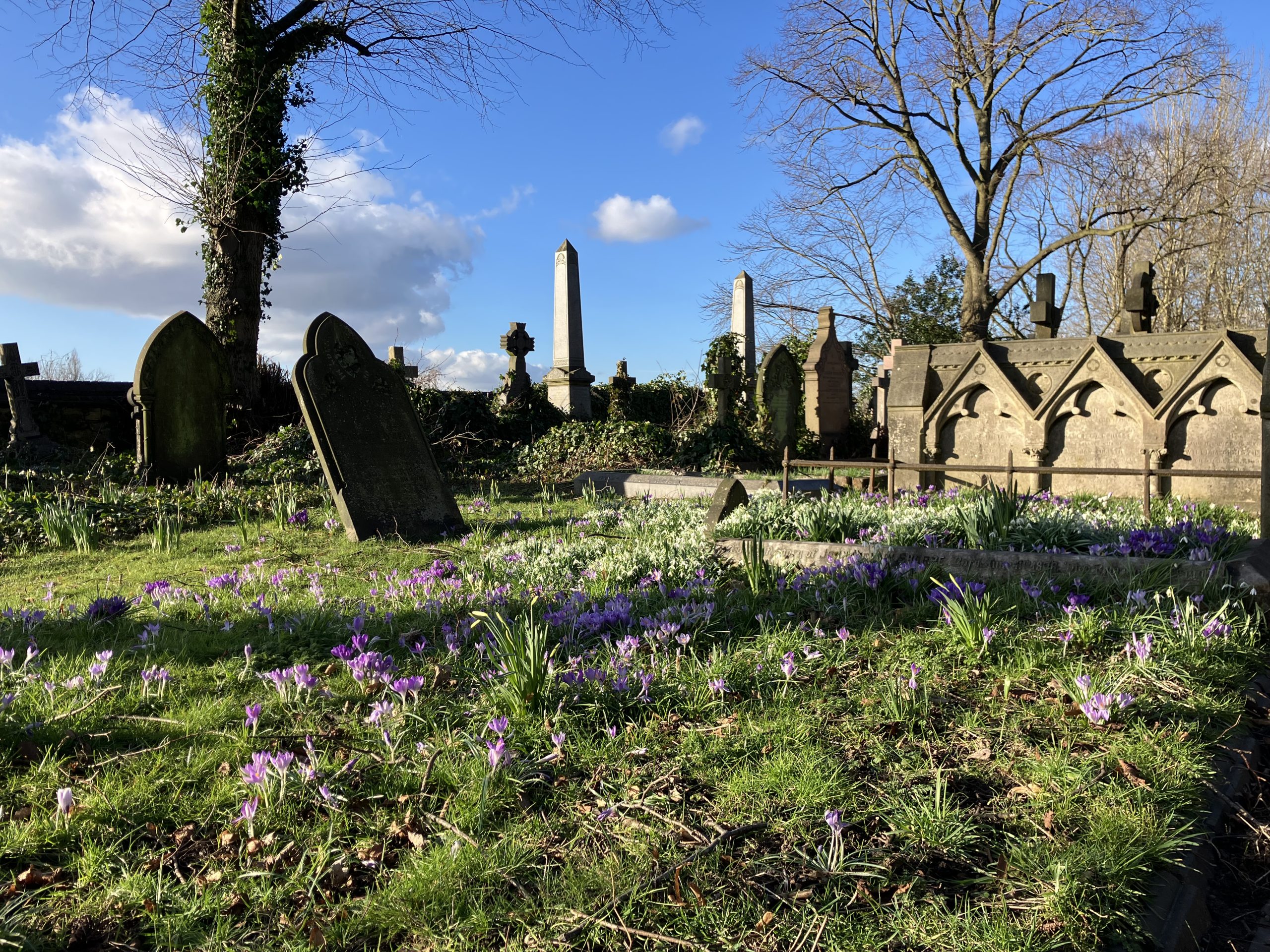 Song for Lent and Eastertide
